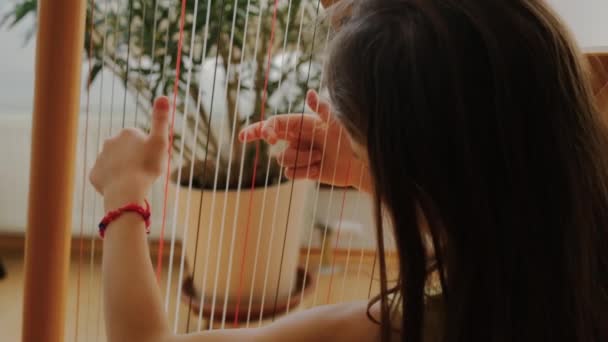 Child Plays Harp Selective Focus Kid — Stockvideo