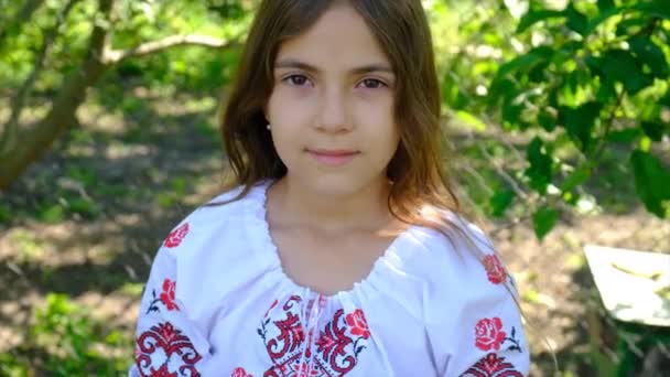 Ουκρανική Σημαία Είναι Στα Χέρια Του Παιδιού Επιλεκτική Εστίαση Καλοκαίρι — Αρχείο Βίντεο