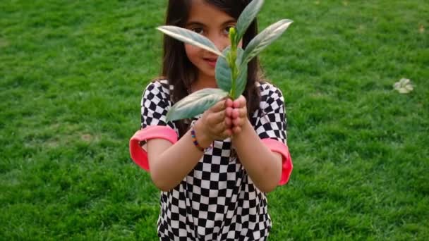 Tree Children Protect Nature Love Selective Focus Kid — Wideo stockowe