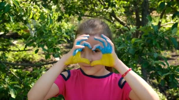 Det Ukrainske Flag Trækkes Barnets Hænder Selektiv Fokus Sommer – Stock-video