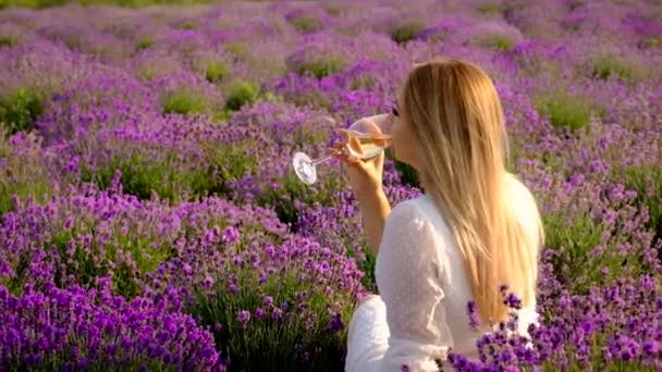 Una Mujer Bebe Vino Campo Lavanda Enfoque Selectivo Comida — Vídeos de Stock