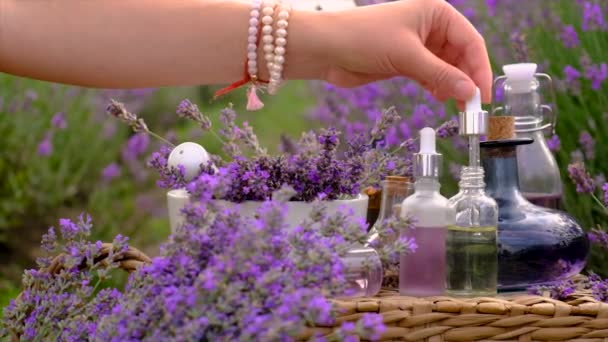 Cosmétiques Lavande Dans Champ Fleuri Concentration Sélective Nature — Video