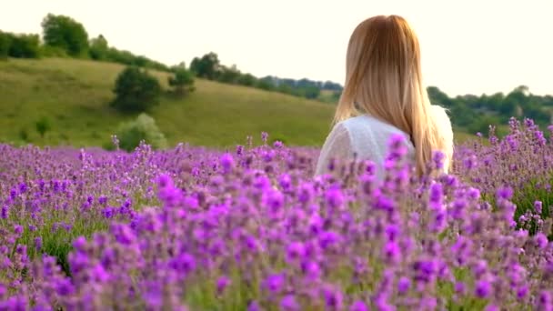 Mujer Campo Lavanda Enfoque Selectivo Naturaleza — Vídeos de Stock