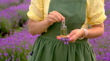 Bir kadın gerekli yağ için lavanta çiçeği toplar. Seçici odaklanma. Doğa.
