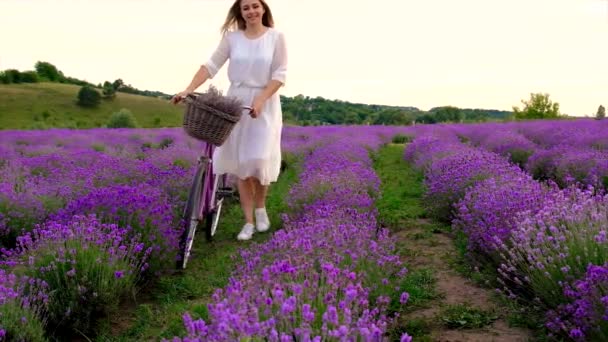 Woman Bicycle Lavender Field Selective Focus Nature — Αρχείο Βίντεο