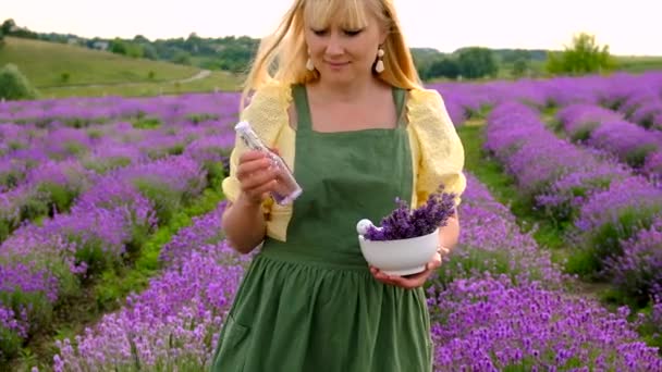 Een Vrouw Verzamelt Lavendelbloemen Voor Essentiële Olie Selectieve Focus Natuur — Stockvideo
