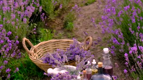 Lavendelkosmetik Auf Einem Feld Mit Blumen Selektiver Fokus Natur — Stockvideo