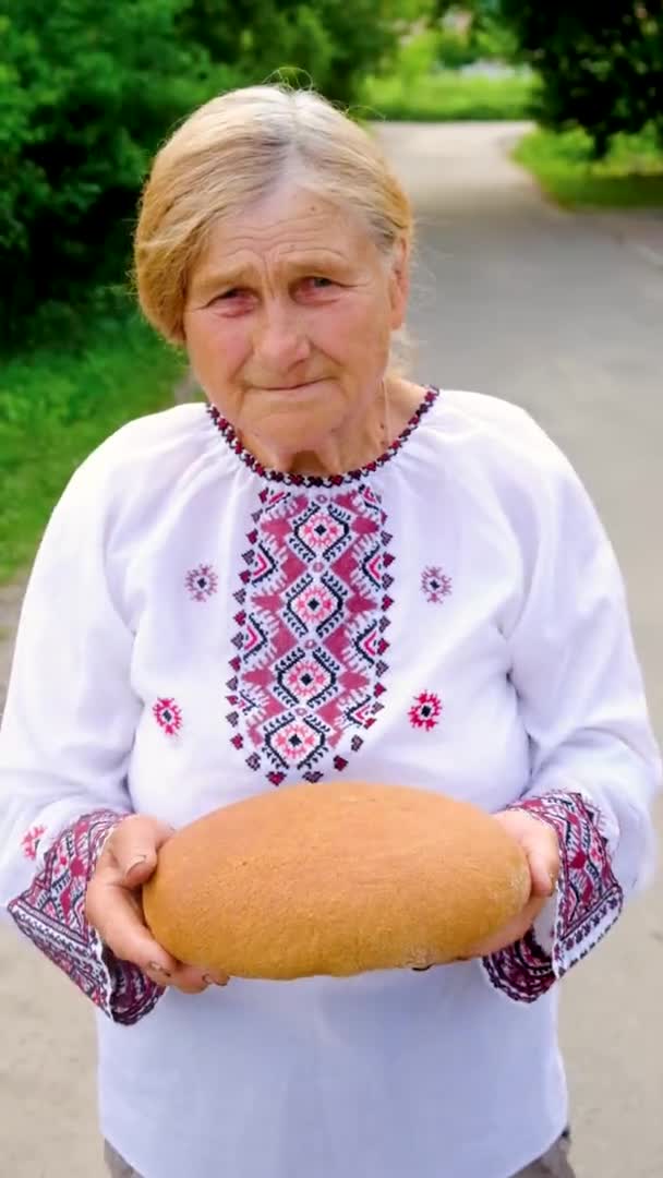 Abuela Con Pan Ucraniano Las Manos Enfoque Selectivo Comida — Vídeos de Stock