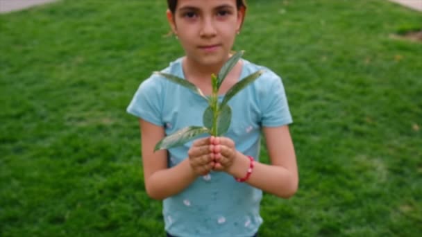 Les Enfants Des Arbres Protègent Nature Avec Amour Concentration Sélective — Video