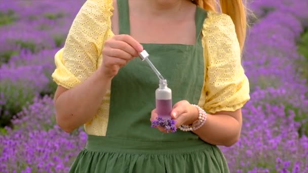 Seorang Wanita Mengumpulkan Bunga Lavender Untuk Minyak Esensial Fokus Selektif — Stok Video