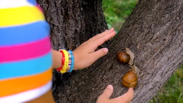 Child Looks Snails Selective Focus Nature — стоковое видео