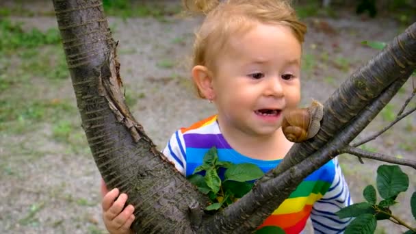 Child Looks Snails Selective Focus Nature — Video Stock