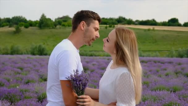 Lovers Kiss Lavender Field Selective Focus Nature — Vídeos de Stock