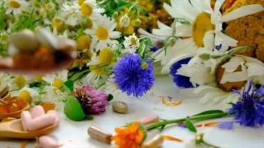 Homeopati ve diyet takviyeleri ile şifalı bitkiler. Seçici odaklanma. Doğa.