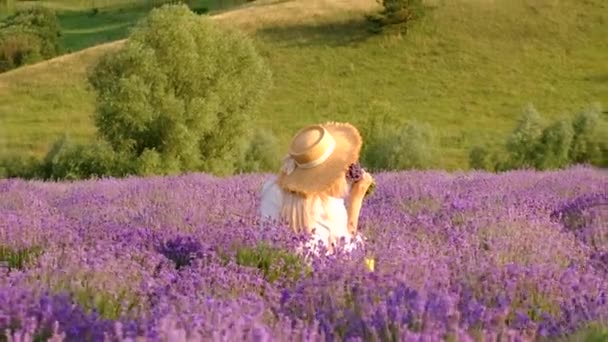 Woman Lavender Field Selective Focus Nature Nature — Video
