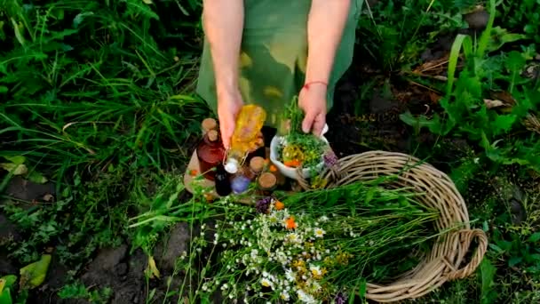 Une Femme Fait Teinture Base Plantes Concentration Sélective Nature — Video