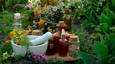 Medicinal herbal tinctures and extracts. Selective focus. Nature.