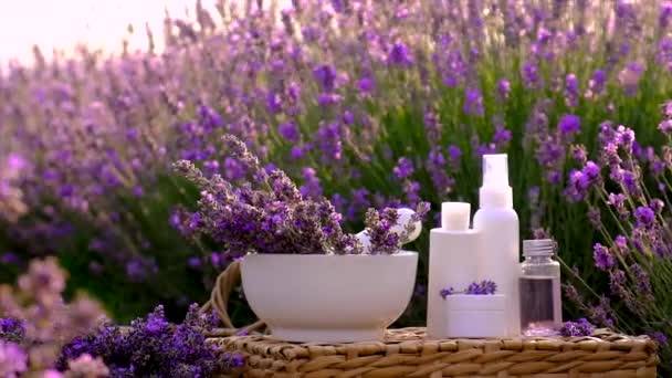 Lavender Cosmetics Field Flowers Selective Focus Nature — Stockvideo