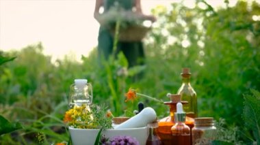 Bir kadın şifalı bitkiler toplar. Seçici odaklanma. Doğa.