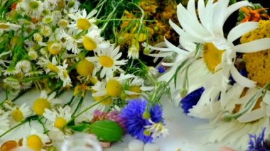Homeopati ve diyet takviyeleri ile şifalı bitkiler. Seçici odaklanma. Doğa.