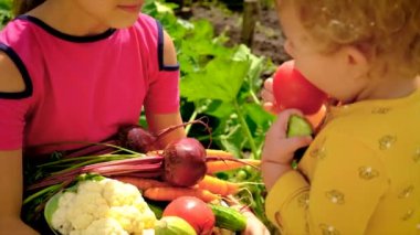 Child in the vegetable garden. selective focus. Kid.