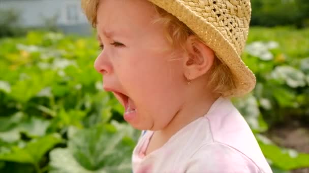 Παιδί Κλαίει Στο Πάρκο Επιλεκτική Εστίαση Παιδί — Αρχείο Βίντεο