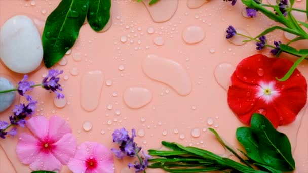 Background Water Drops Flowers Selective Focus Spa — Video Stock