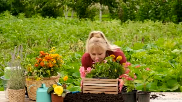 Woman Plant Flowers Garden Selective Focus Nature — 비디오