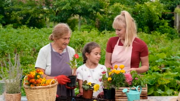 Grandmother Mother Daughter Planting Flowers Garden Kid — Vídeo de Stock