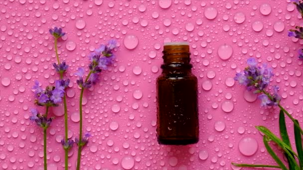 Cosmetic Product Lavender Essential Oil Selective Focus Spa — Vídeos de Stock
