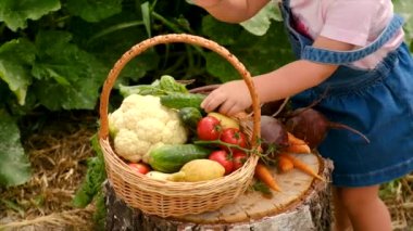 Child in the vegetable garden. selective focus. Kid.