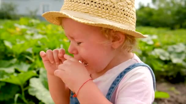 Child Crying Park Selective Focus Kid — 图库视频影像