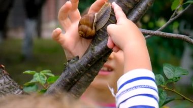 Çocuk salyangozlara bakıyor. Seçici odaklanma. Doğa.