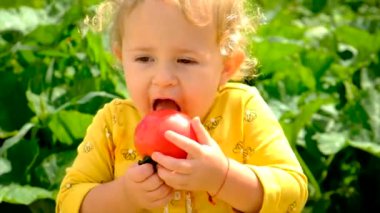 Child in the vegetable garden. selective focus. Kid.