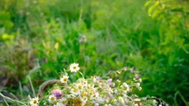Medicinal herbal tinctures and extracts. Selective focus. Nature.