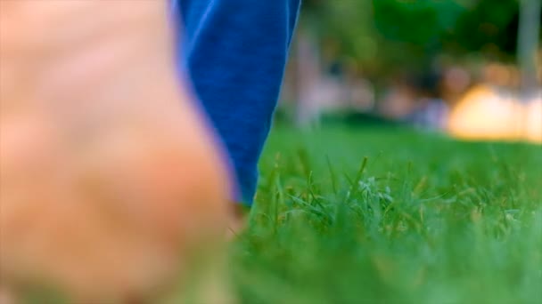 Child Walks Park Grass His Feet Selective Focus Kid — стоковое видео