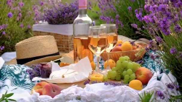 Wine Lavender Field Selective Focus Food — Video Stock