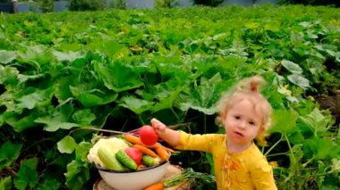 Sebze bahçesindeki çocuk. Seçici odaklanma. Çocuk.