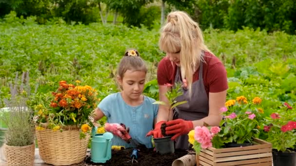 Mother Daughter Planting Flowers Garden Selective Focus Kid — 비디오