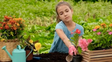 The child is planting flowers in the garden. Selective focus. Kid.
