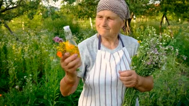 Yaşlı Kadın Bitkisel Tentür Yapıyor Seçici Odaklanma Doğa — Stok video