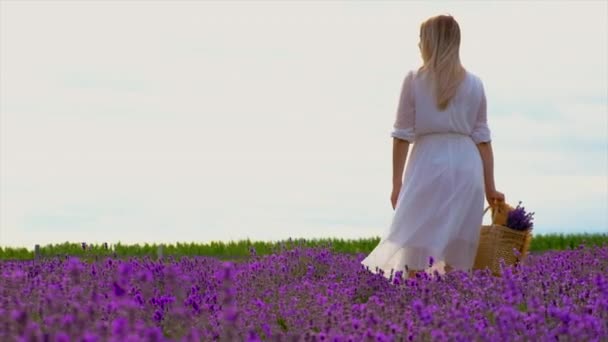 Frau Einem Lavendelfeld Selektiver Fokus Natur — Stockvideo