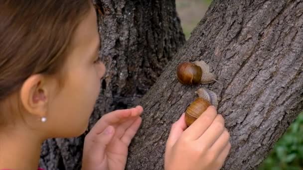 Child Looks Snails Selective Focus Nature — Vídeo de Stock