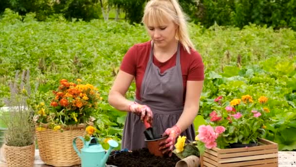 Woman Plant Flowers Garden Selective Focus Nature — Stockvideo