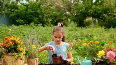 The child is planting flowers in the garden. Selective focus. Kid.