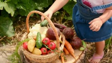 Sebze bahçesindeki çocuk. Seçici odaklanma. Çocuk.