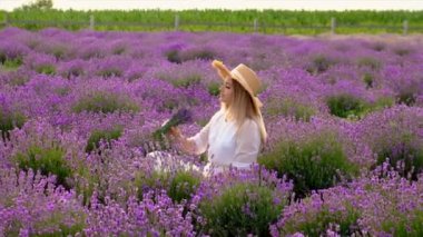 Lavanta tarlasında bir kadın. Seçici odaklanma. Doğa.