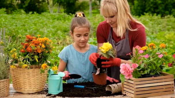 Mother Daughter Planting Flowers Garden Selective Focus Kid — Vídeo de stock