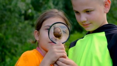 Children look at a snail with a magnifying glass, selective focus. Kid.
