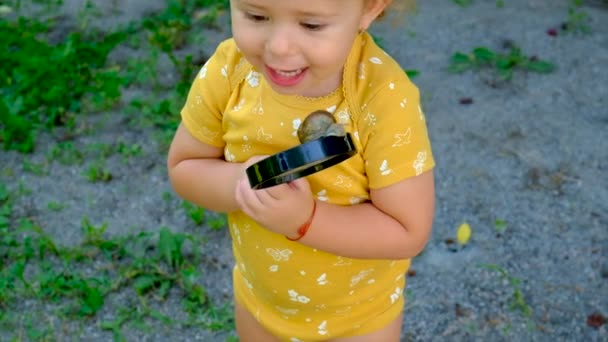 Παιδί Κοίτα Ένα Σαλιγκάρι Μεγεθυντικό Φακό Επιλεκτική Εστίαση Παιδί — Αρχείο Βίντεο
